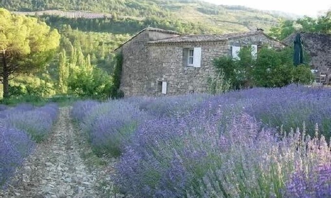 Sainte-Euphemie-sur-Ouveze Other | Sheepfold restored In Provence near Vaison la Romaine and Mont Ventoux