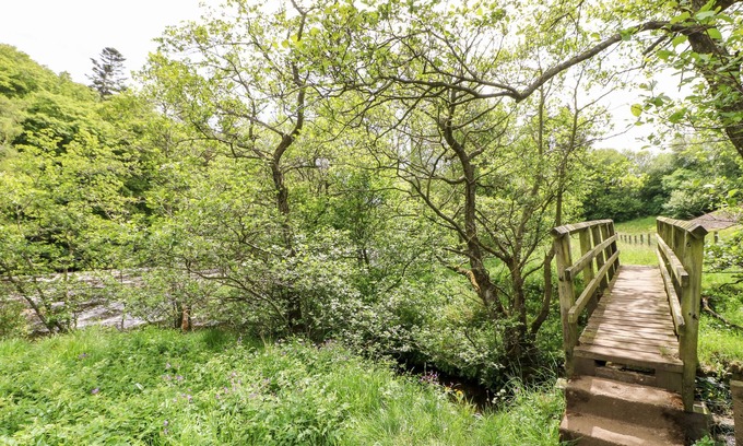 Holwick Cottage | Shepherd's Cottage