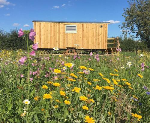 Bedfield House | Shepherds Hut 8