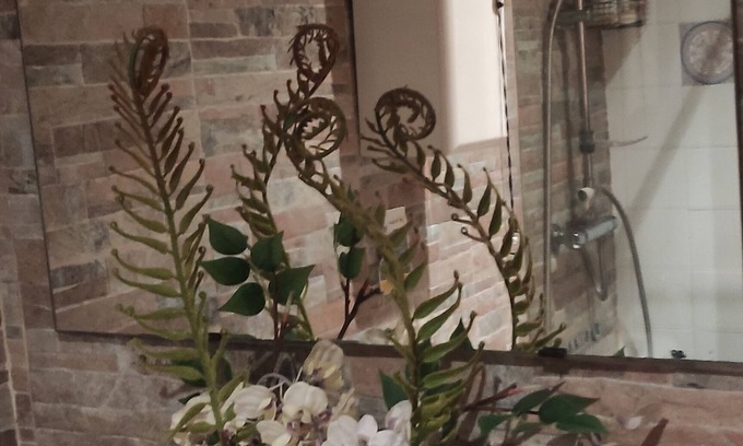 Jerez de la Frontera Old Town Apartment | SHERRY CENTER "FLAMENCO SHOW"