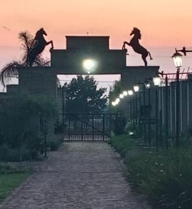 Benoni Hotel | Shingwedzi Hotel