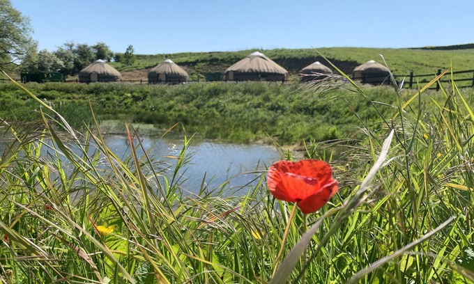 Spilsby RV Rental | Shire Farm Yurt Village