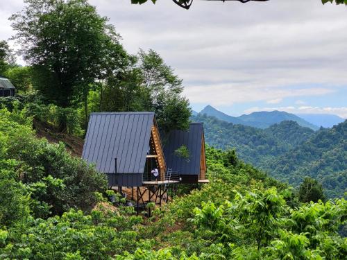 Kobuleti Ski Chalet | Shuamta cottage