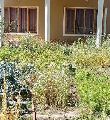 Leh House | Shumavilla