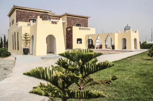 Sidi Kaouki Hotel | sidi kaouki ayt karoum