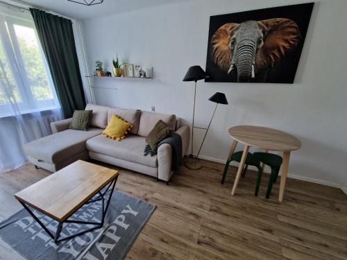 Rzeszow Apartment | Sienkiewicza apartament MULTI HOUSE