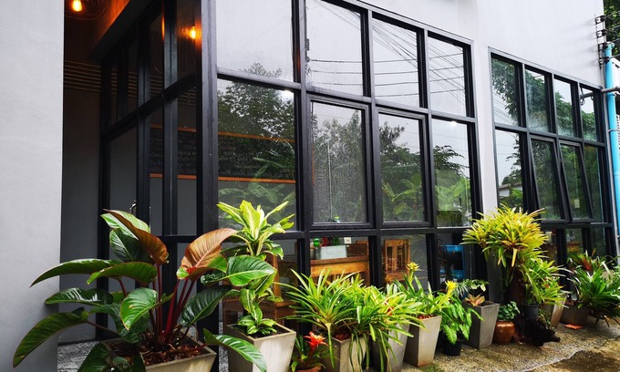Makham Tia House | Siri Guesthouse at Suratthani