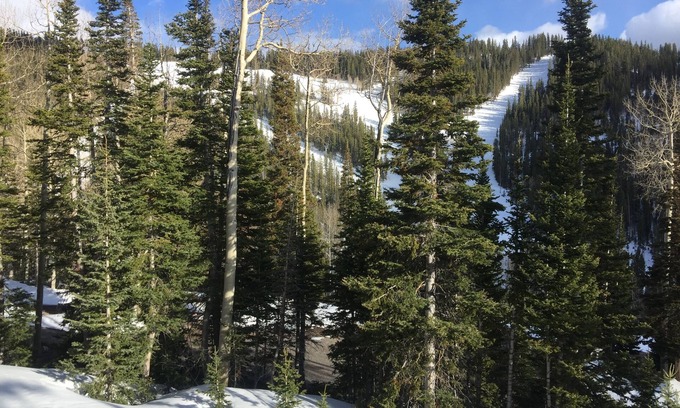 Beaver Condo | Ski-In/ski-Out At Eagle Point Ski Resort - Snowflake #12 - 1 Bedroom Condo