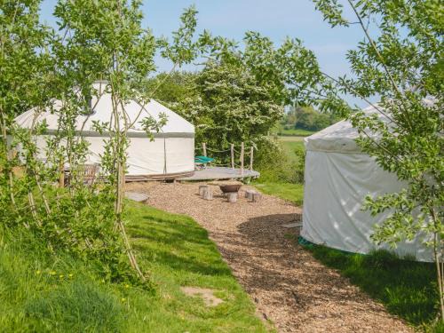 Bridport House | Skylark Yurt - Ukc6946