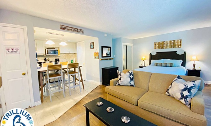 Craigleith Condo | Slopeside Condo - Wifi, Linens/Towels, Ski In/Out