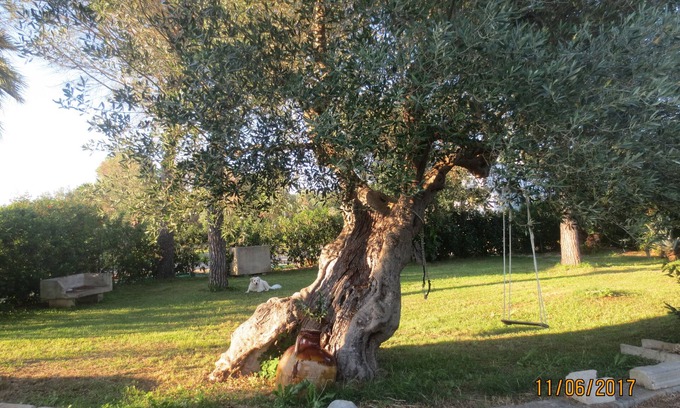 Lequile House | Small house in the countryside, the small "Cornula", Salento