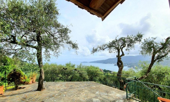 Zoagli Apartment | Small villa surrounded by olive trees overlooking the gulf