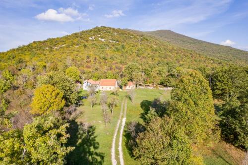 Municipality of Gracac Resort | SOKOL - Secret forest house