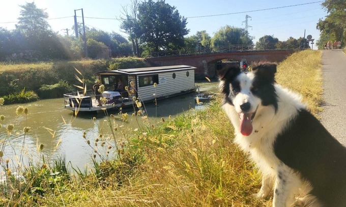 Casseneuil Boat Rental | SOLAR BOAT ON THE GARONNE CANAL departing from CASTELSARRASIN.