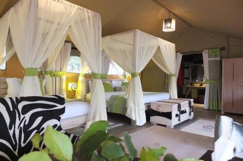 Mara North Conservancy Other | Soroi Private Wing