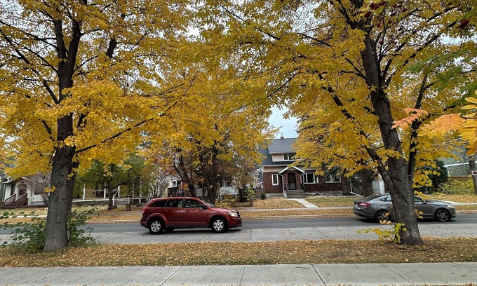 Edmonton Apartment | Spacious 2BR Suite Near University of Alberta, Hospital, Whyte Ave, River Valley