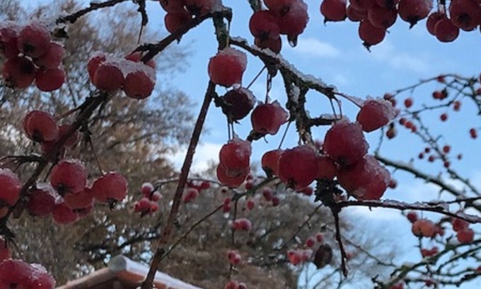 Usson-du-Poitou Cottage | SPACIOUS AND FRIENDLY LODGING IN FRAMEWORK CHAMPETRE