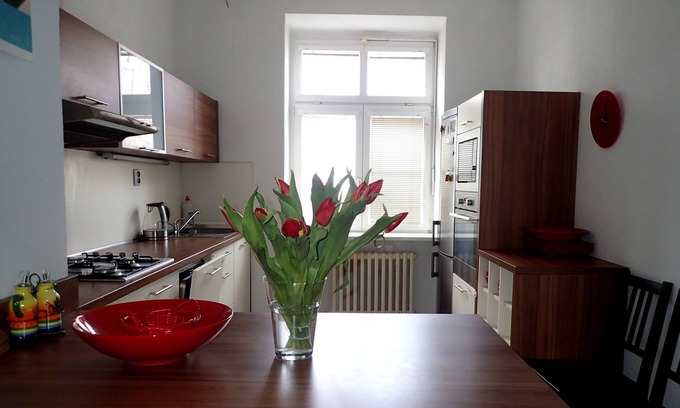 Nove Mesto Apartment | Spacious apartment near the center