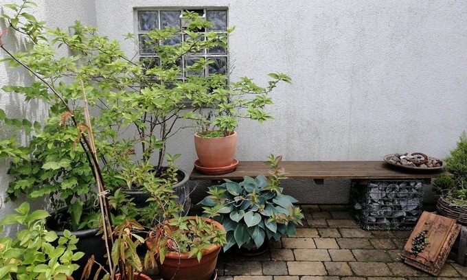 Heusweiler House | Spacious house with parking lot and green courtyard