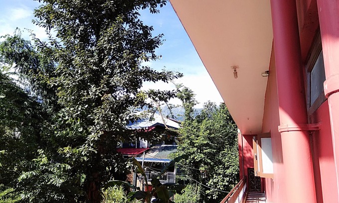 Palampur Bed & Breakfast | "Sparrow's Nest Resorts and Homestays"