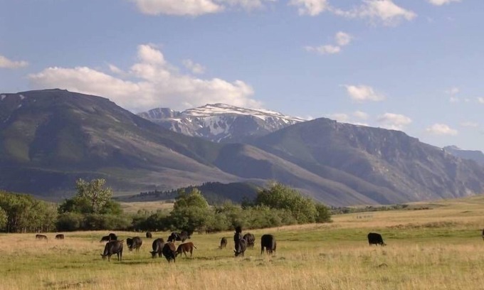 Roscoe House | Spectacular Mountain Views! Riverfront! Private! 3 Bdr/2bath