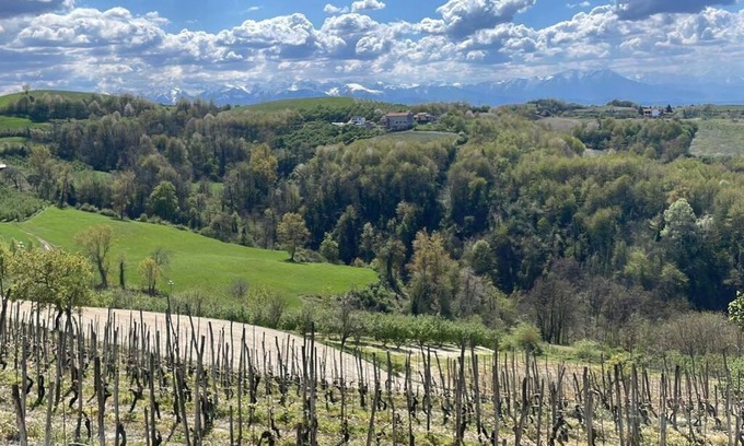 Belvedere Langhe House | Spicchio di Langa - casa indipendente tra le vigne e le Alpi
