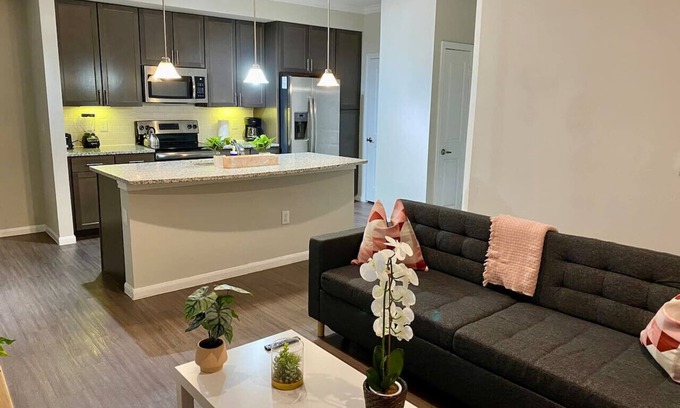 Spring Apartment | Spring Modern 2B2B king Fully equipped Long term