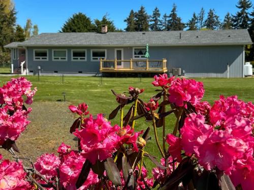 Sequim House | Sq Seashells Nest