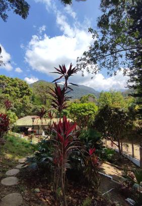 Minca House | Stay and Spanish
