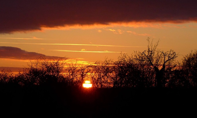 Somerton Cabin | Stay in a traditional Gypsy Caravan close to Glastonbury in a private orchard