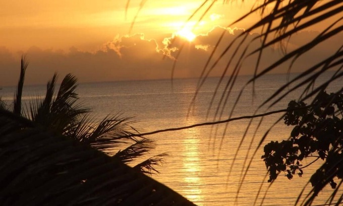 Forest Home Hotel | Stay, relax and explore in Sunset our tropical oasis by the Caribbean Sea.