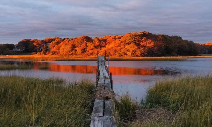 Centerville House | Steps away from Craigville Beach. Riverfront! Your own private bird sanctuary!