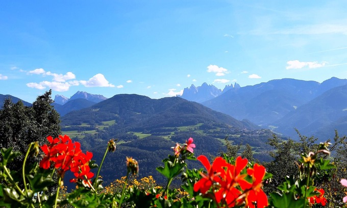 Chiusa Apartment | Stieberhof Feldthurns - Holiday apartment with mountain view - Alpaca hike