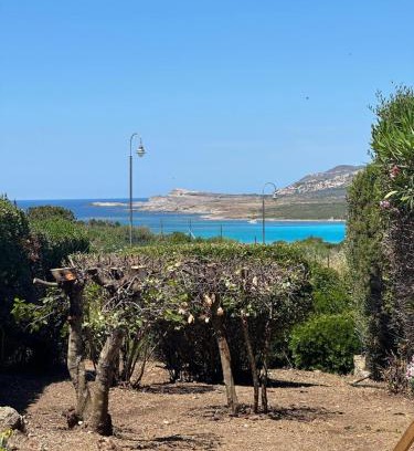 Stintino Apartment | Stintino vista mare l'ancora