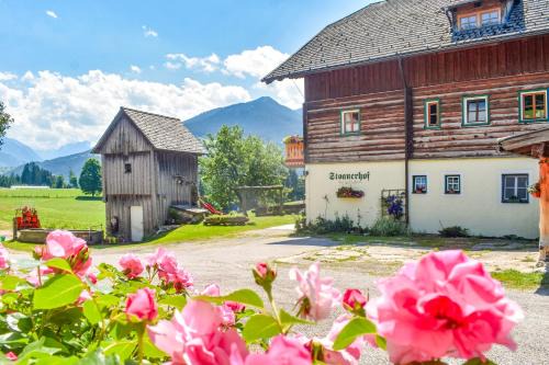 Pichl-Preunegg Apartment | Stoanerhof