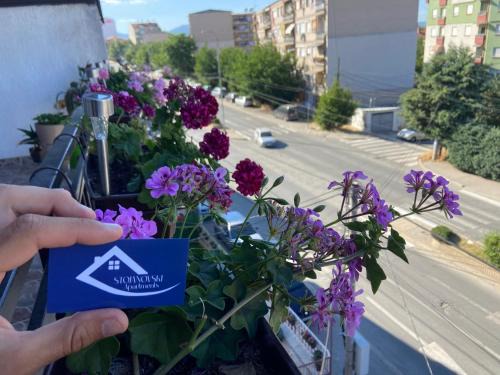 Kumanovo Apartment | Stojanovski Apartments