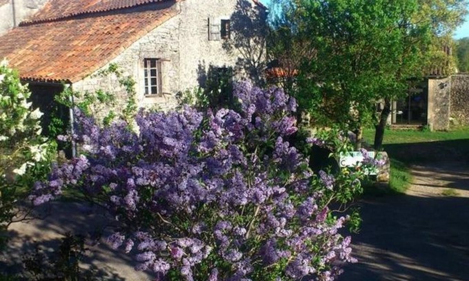 Vissec House | Stone house in the heart of Larzac – Nature, free-roaming horses, and guaranteed relaxation
