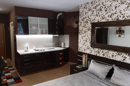 Borovets Apartment | Studio 1 Iceberg Borovets