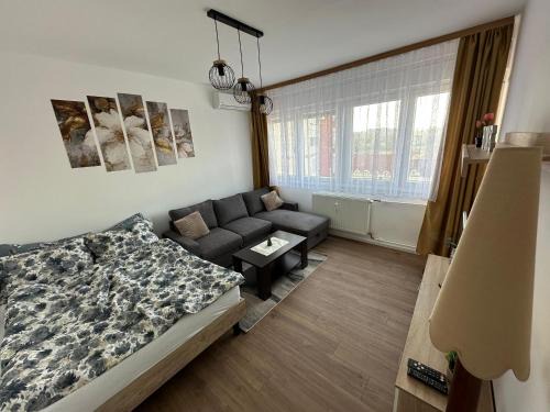 Virovitica Apartment | Studio apartman Barbara