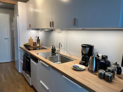 Narvik Apartment | Studio apartment near Narvikfjell Gondola