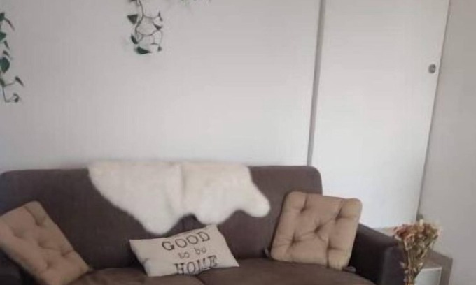 Val de l'Ognon et de la Linotte Apartment | Studio Avec Entrée Indépendante, au Calme. Animaux Acceptés