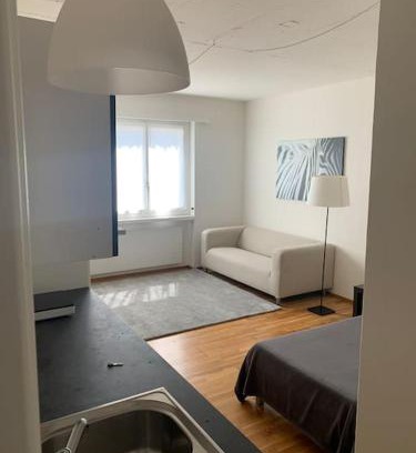 Meilen District Apartment | Studio Berta