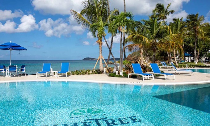 Estate Frenchman Bay Resort | Studio Condo at Wyndham Limetree Resort - Right on the Beach!