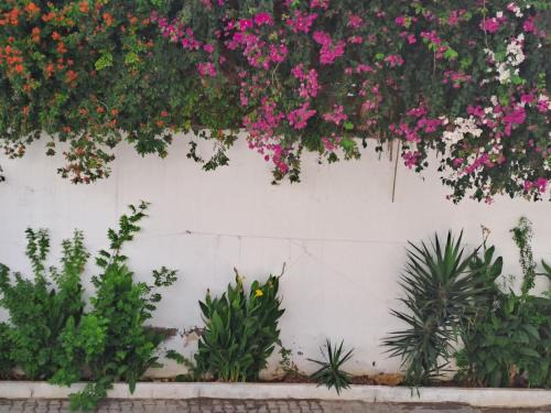 La Marsa Apartment | studio coquet chez LOU - Marsa