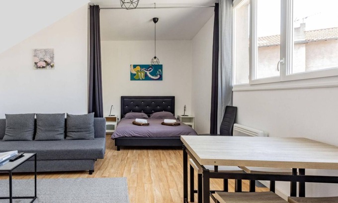 Graulhet Apartment | Studio Cosy - Hypercentre - Calme - 50m2 - Wifi