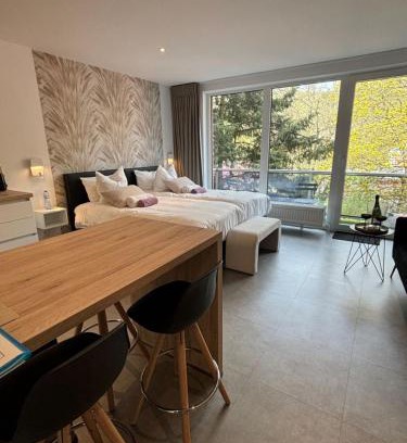 Spa Apartment | Studio de l'Avenue