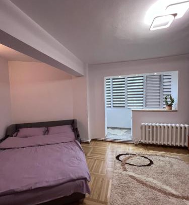 Nehoiu Apartment | Studio in the city center