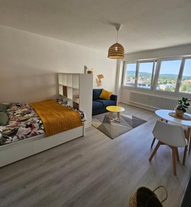 Devant-les-Ponts Apartment | Studio La Belle Vue
