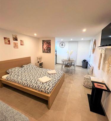 Noyers-sur-Cher Apartment | Studio Le Plum'Art, 10mn Zoo de Beauval avec jardin