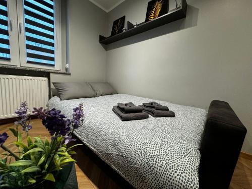 Opole Apartment | Studio przy RYNKU - self check in - późne wymeldowanie do 12 - wystawiamy FV